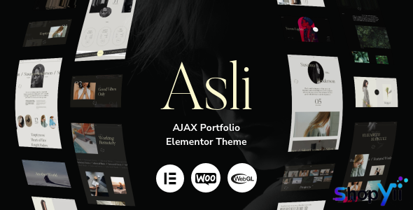 Asli v1.8.5 – AJAX Portfolio Elementor WordPress Theme