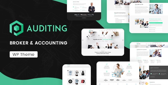 Auditing v3.3 - Accounting Consultant, Finance WordPress Theme