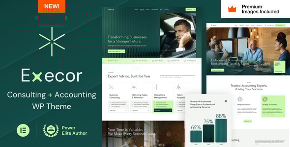 Execor v1.0 - Accounting and Management Consulting WordPress Theme