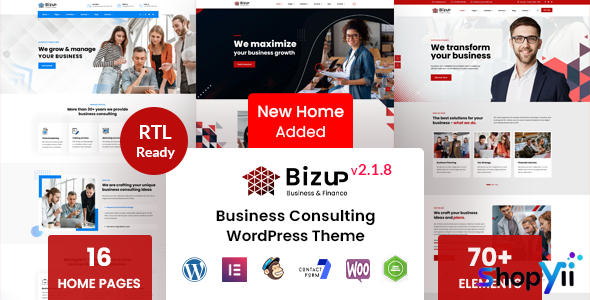 Bizup v2.1.8 - Business Consulting WordPress Theme